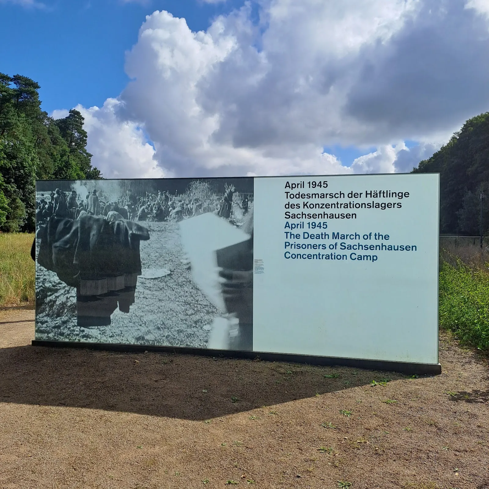 Мемориальный лес Беловер Данн, Германия, памятник, деревья, тропинка