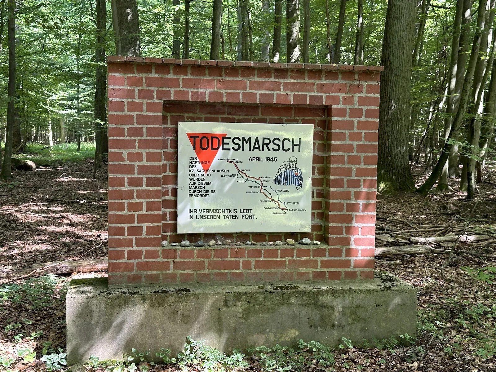 Мемориальный лес Беловер Данн, Германия, памятник, деревья, тропинка