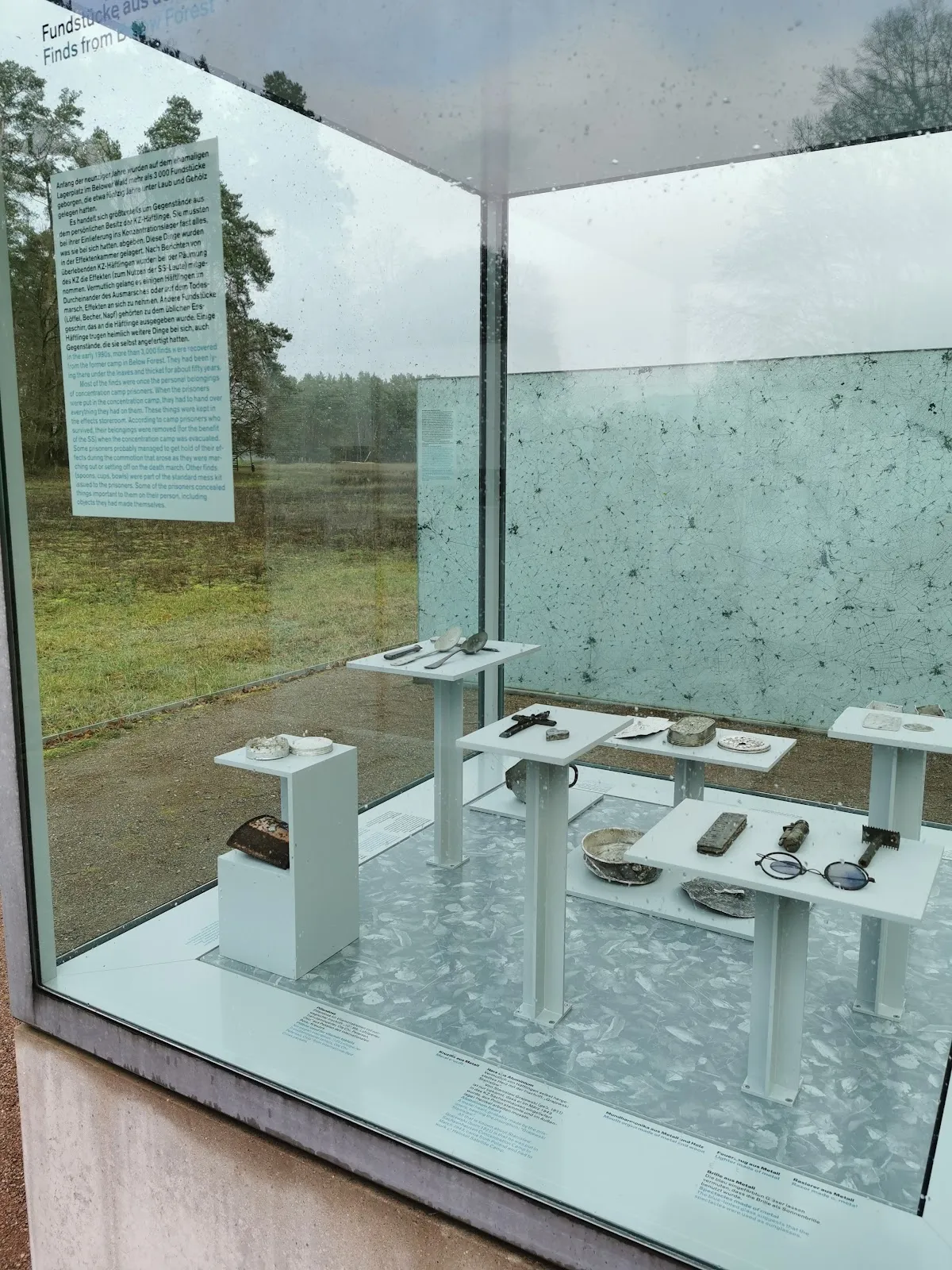 Мемориальный лес Беловер Данн, Германия, памятник, деревья, тропинка