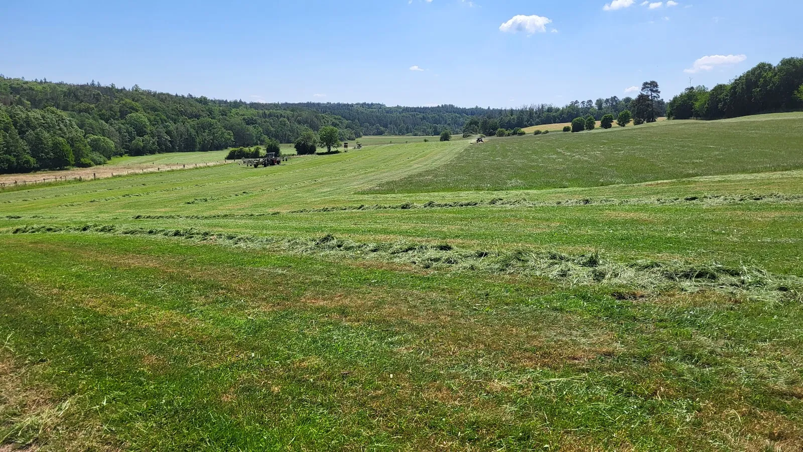 Место отдыха со столом