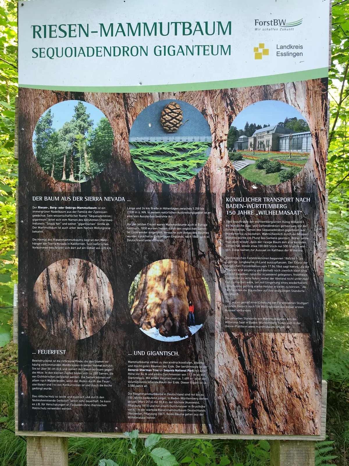 Здание штаб-квартиры MAN Truck & Bus в Германии