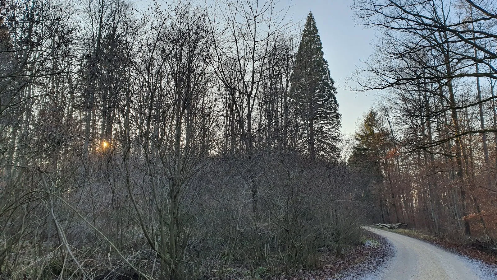 Здание штаб-квартиры MAN Truck & Bus в Германии