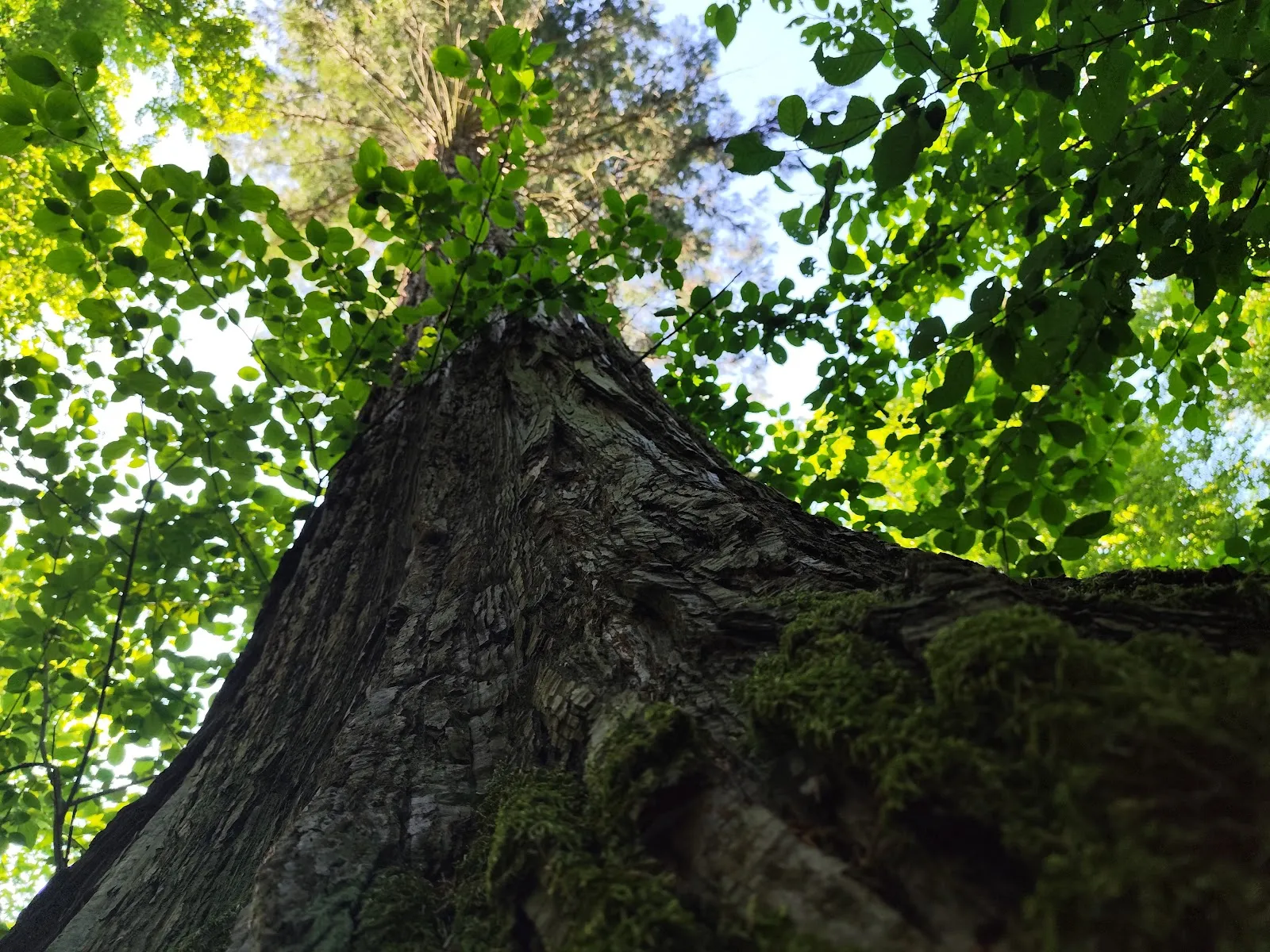 Здание штаб-квартиры MAN Truck & Bus в Германии