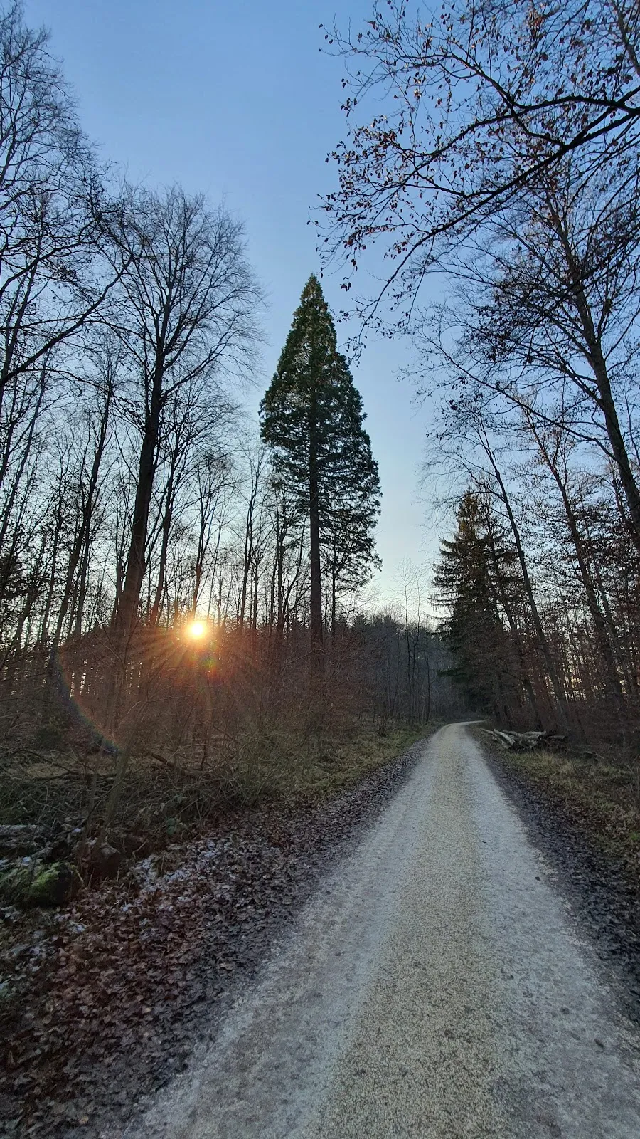 Здание штаб-квартиры MAN Truck & Bus в Германии