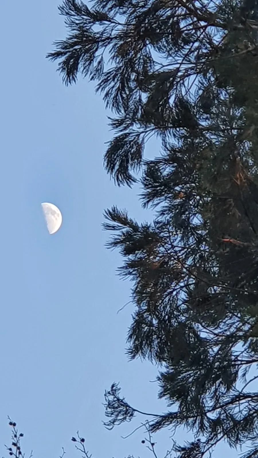 Здание штаб-квартиры MAN Truck & Bus в Германии