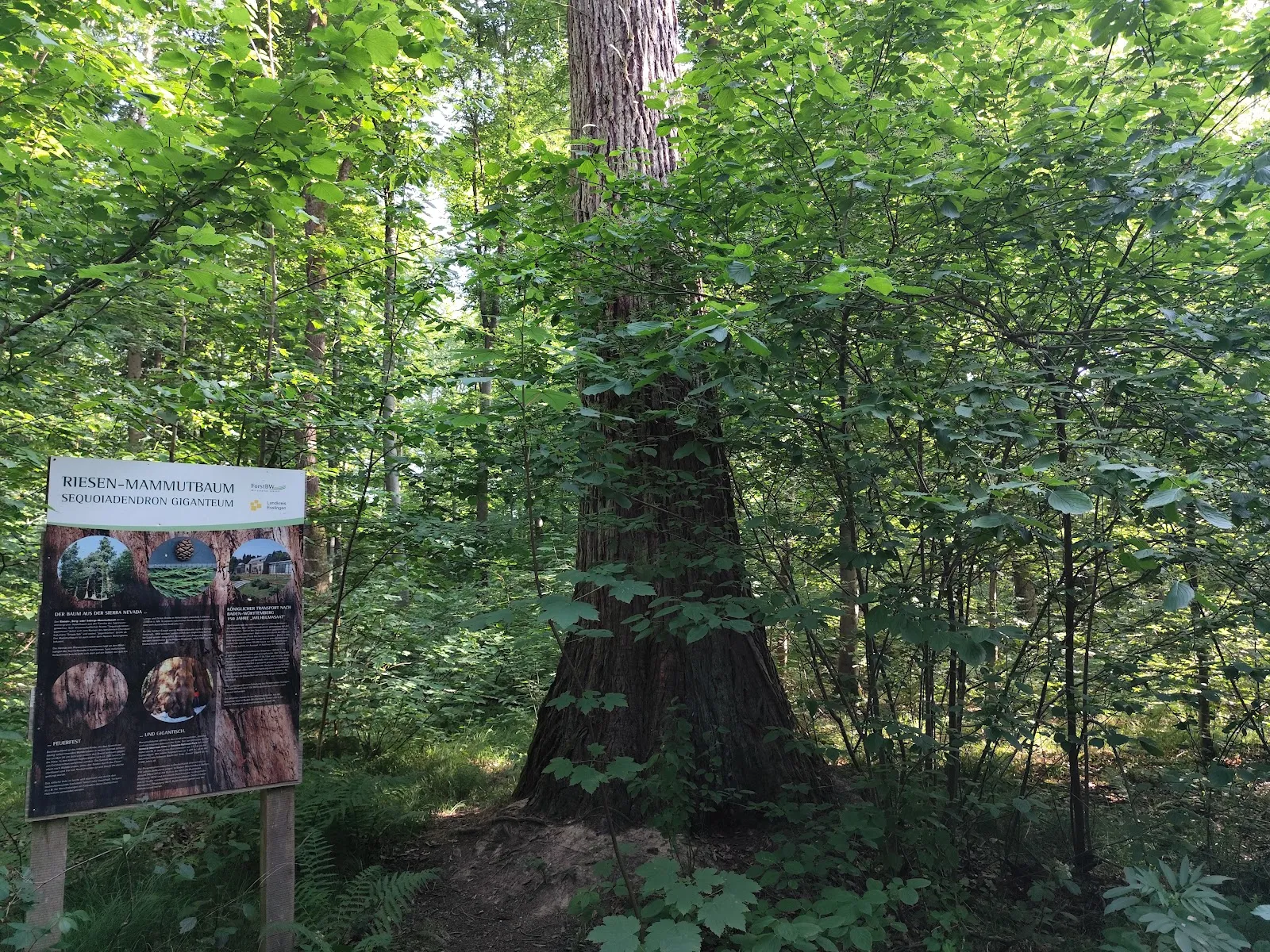 Здание штаб-квартиры MAN Truck & Bus в Германии