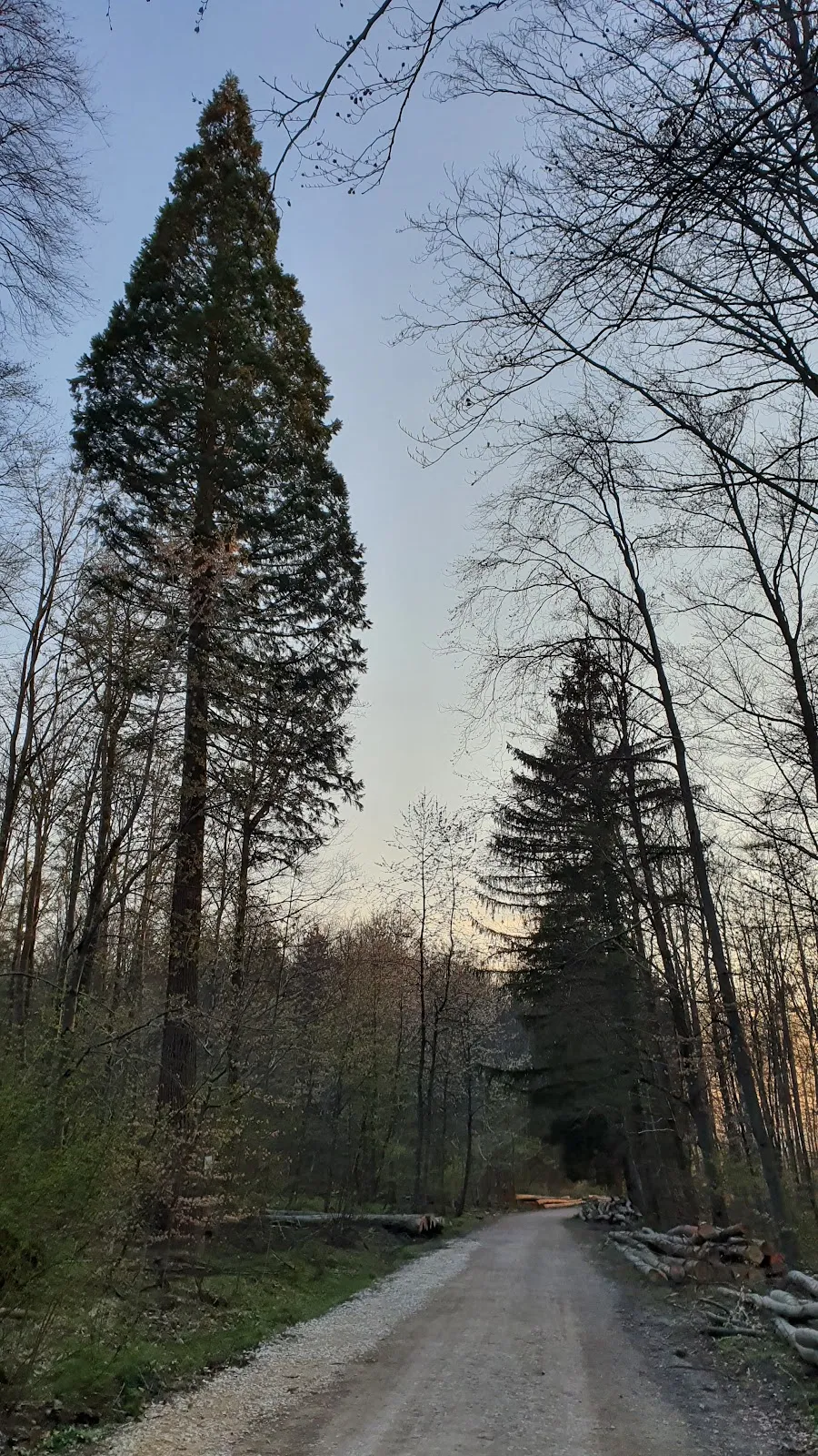 Здание штаб-квартиры MAN Truck & Bus в Германии