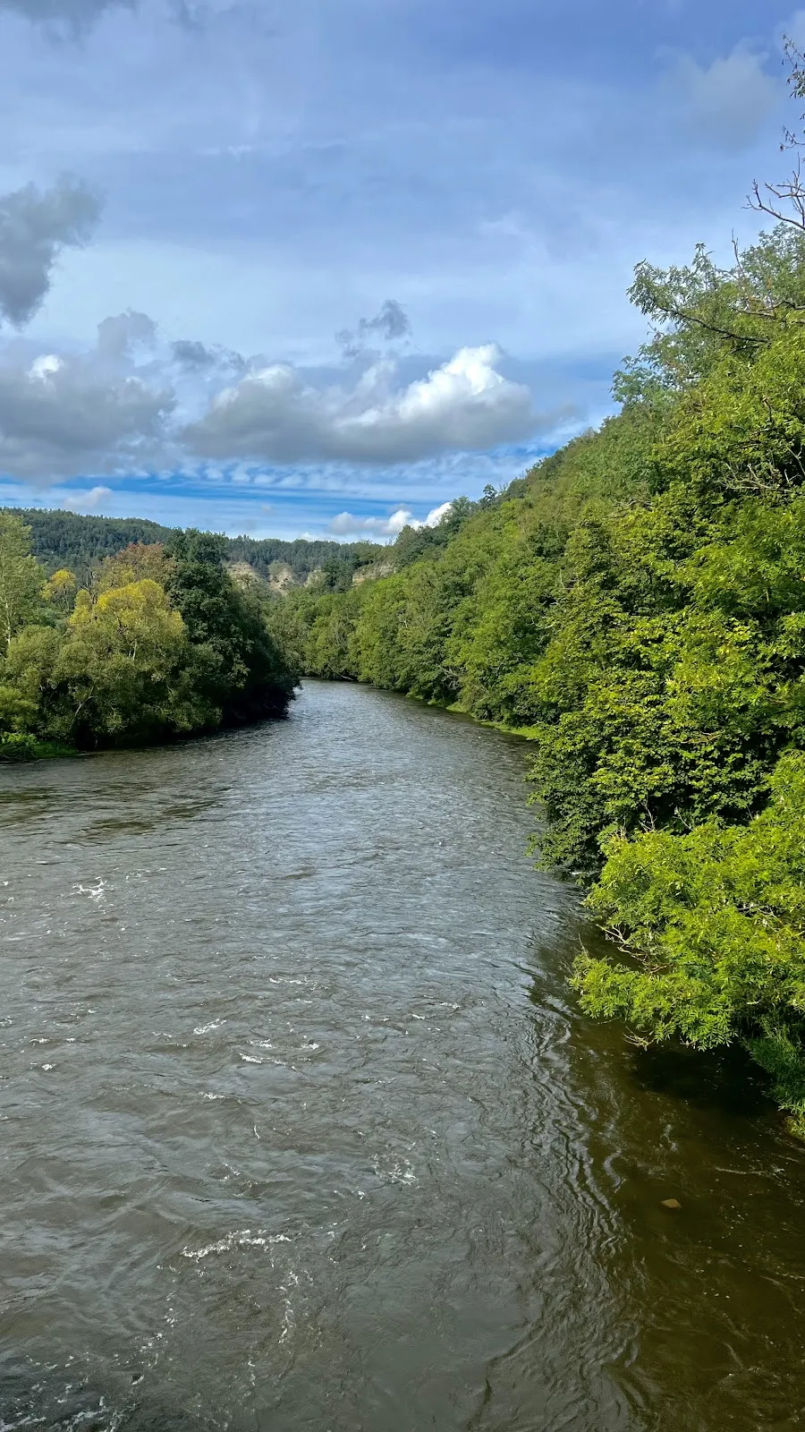 Министерство Финансов штата Орегон