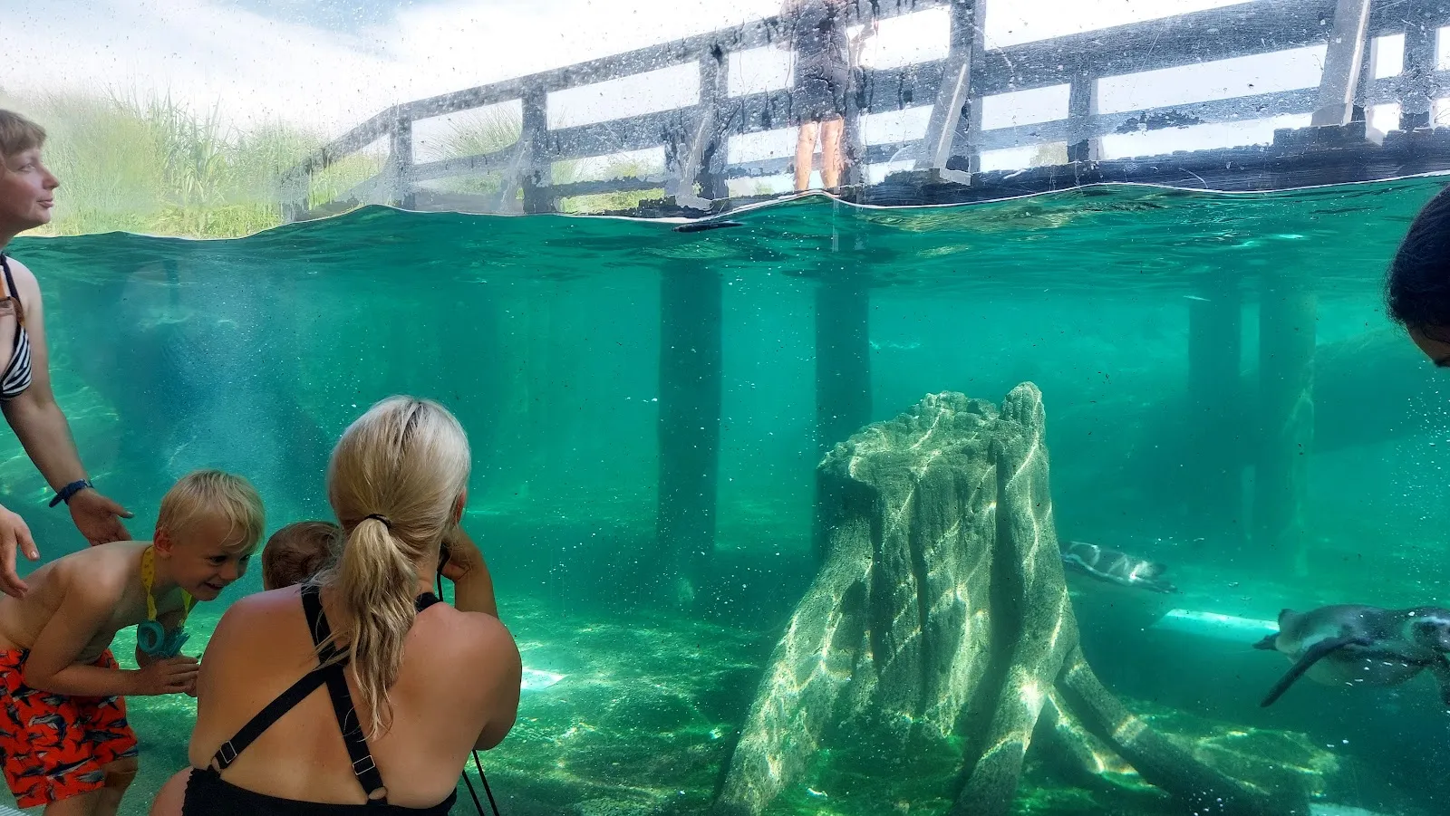 Аквапарк Мир Шпревальда