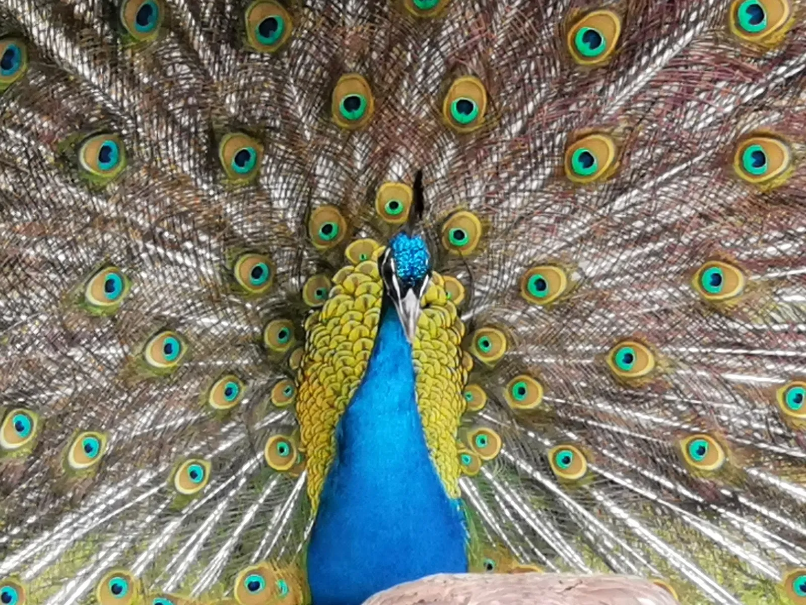 Парк аттракционов 