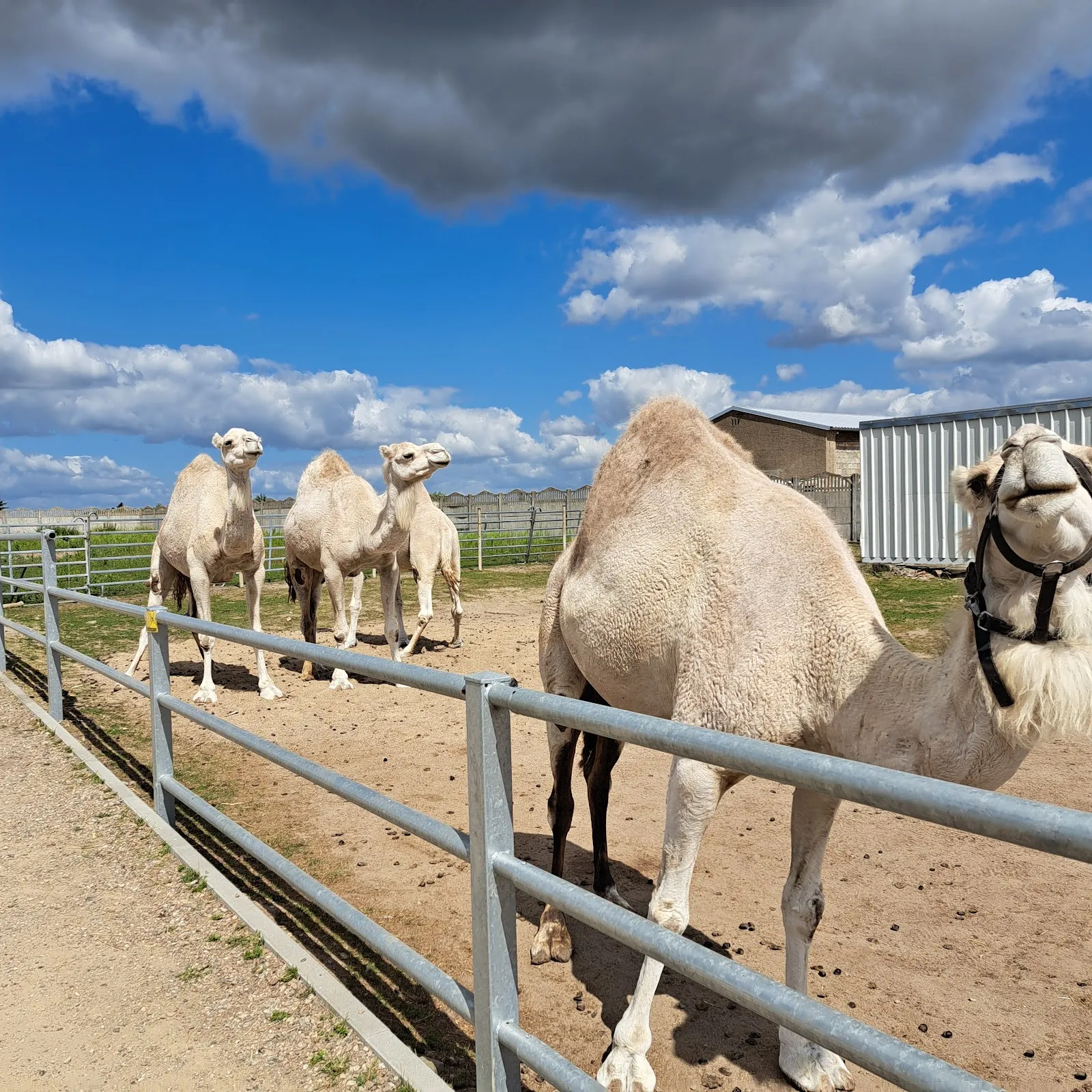 Парк аттракционов 