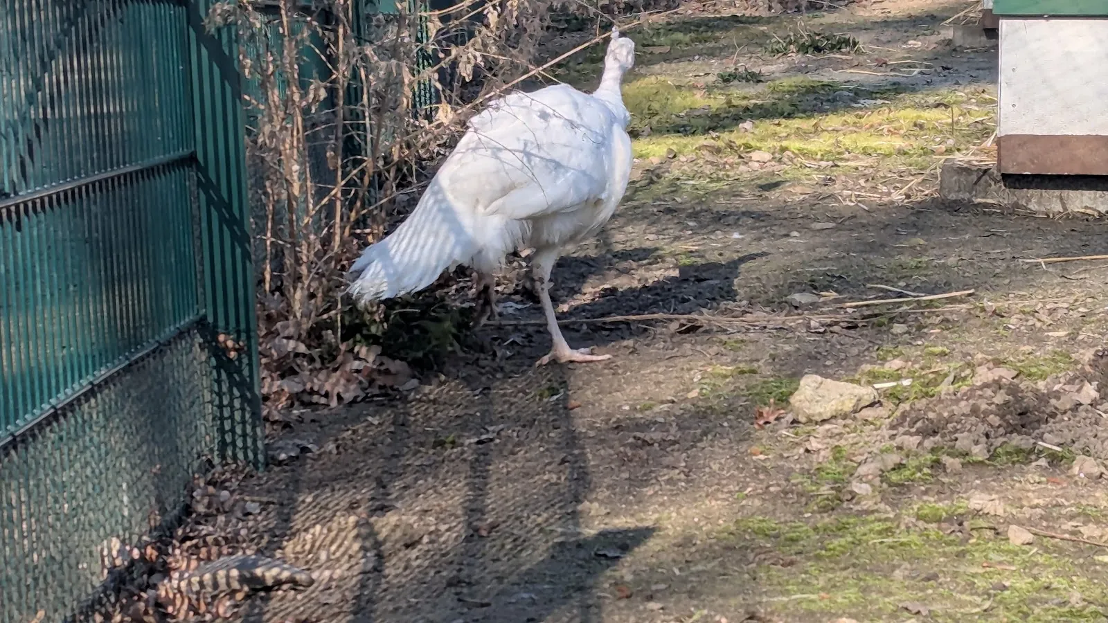 Парк аттракционов 