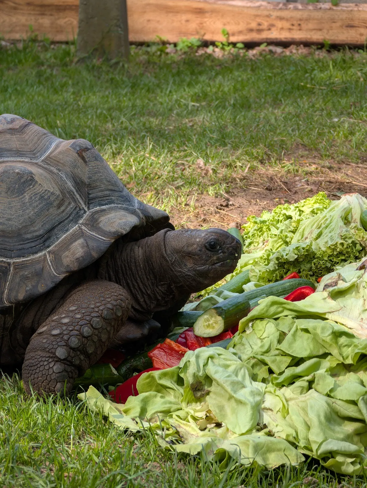 Парк аттракционов 