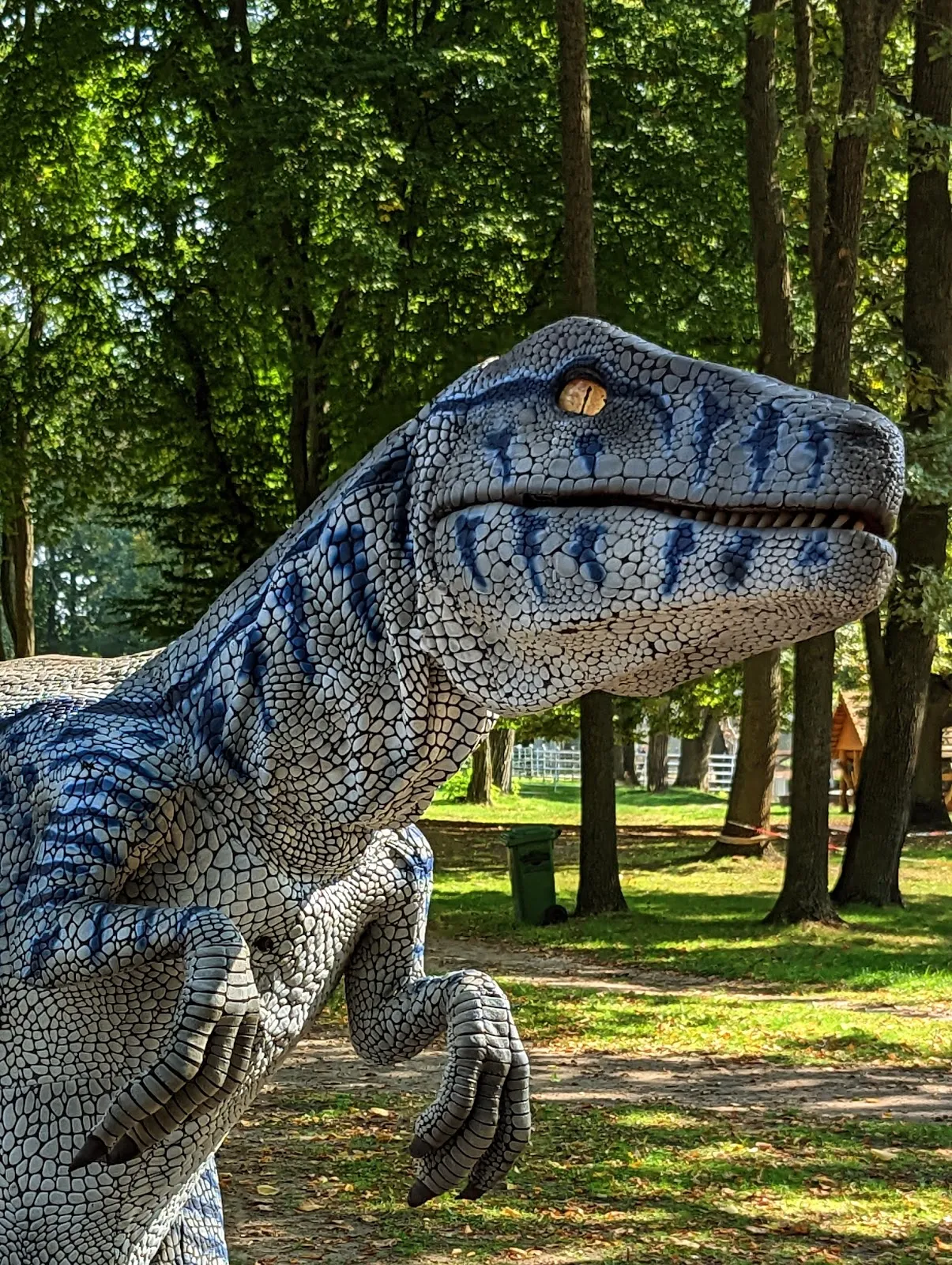 Парк аттракционов 