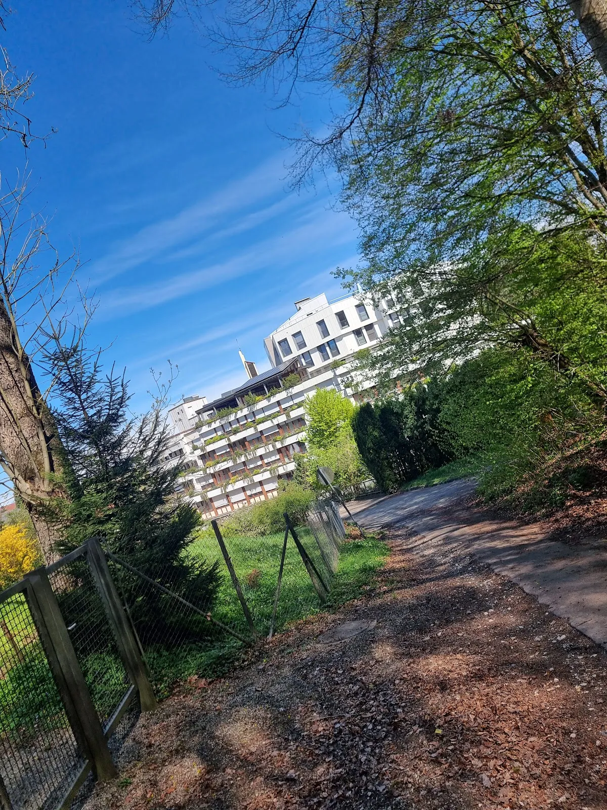 Монастырь Бранденбург, историческое здание в Германии