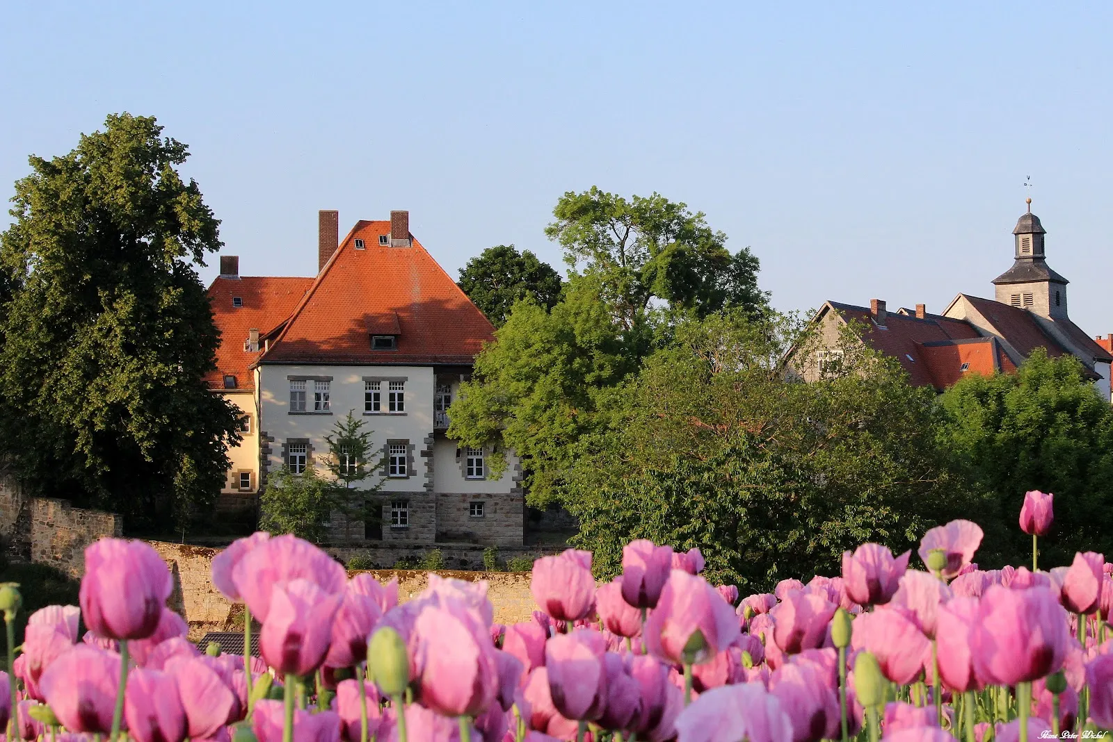 Монастырь Иммихенхайн