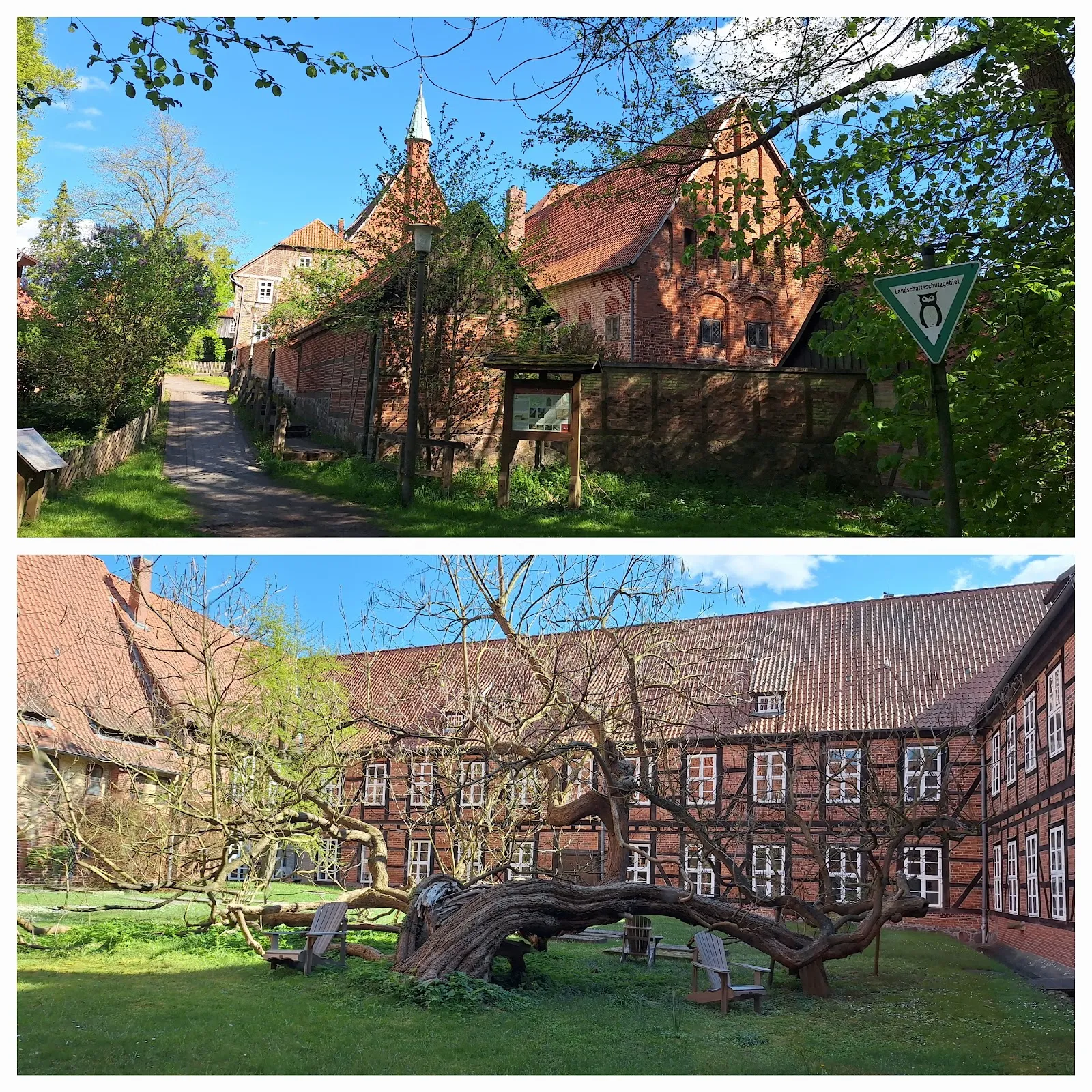 Здание монастыря Изенхаген