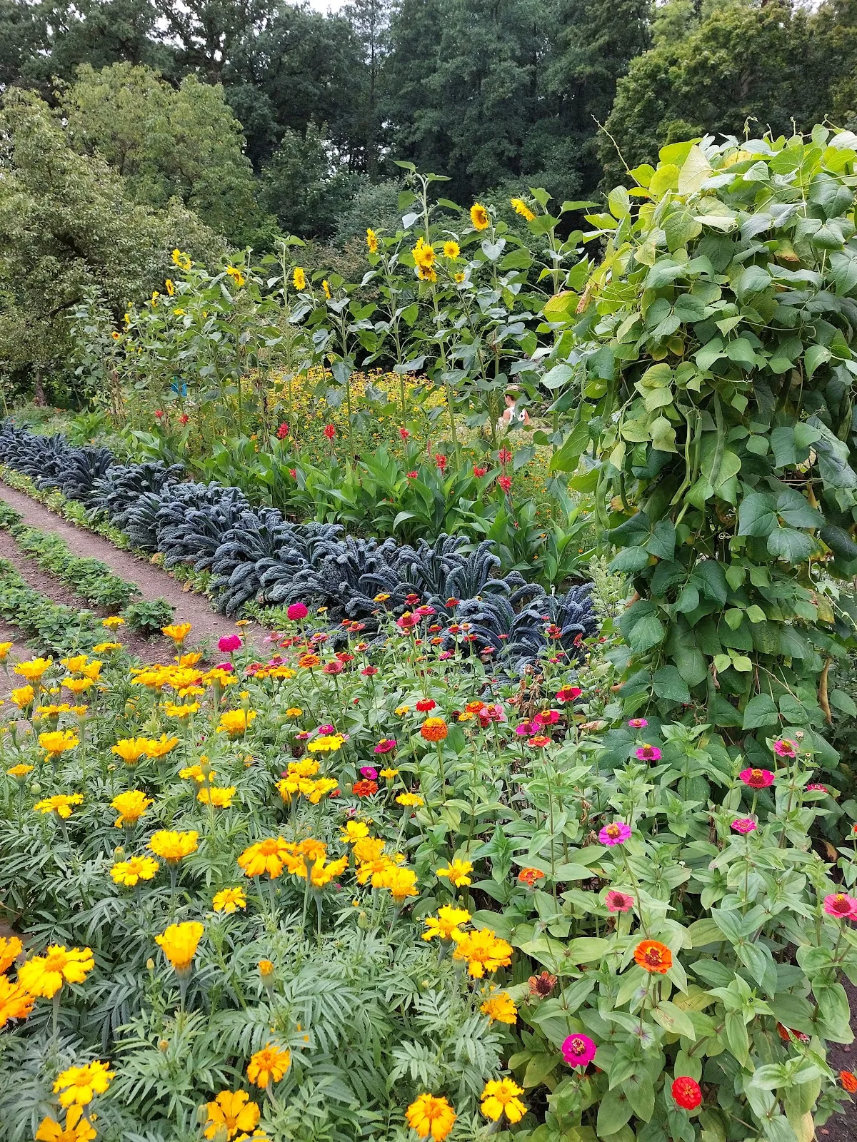 Здание монастыря Изенхаген