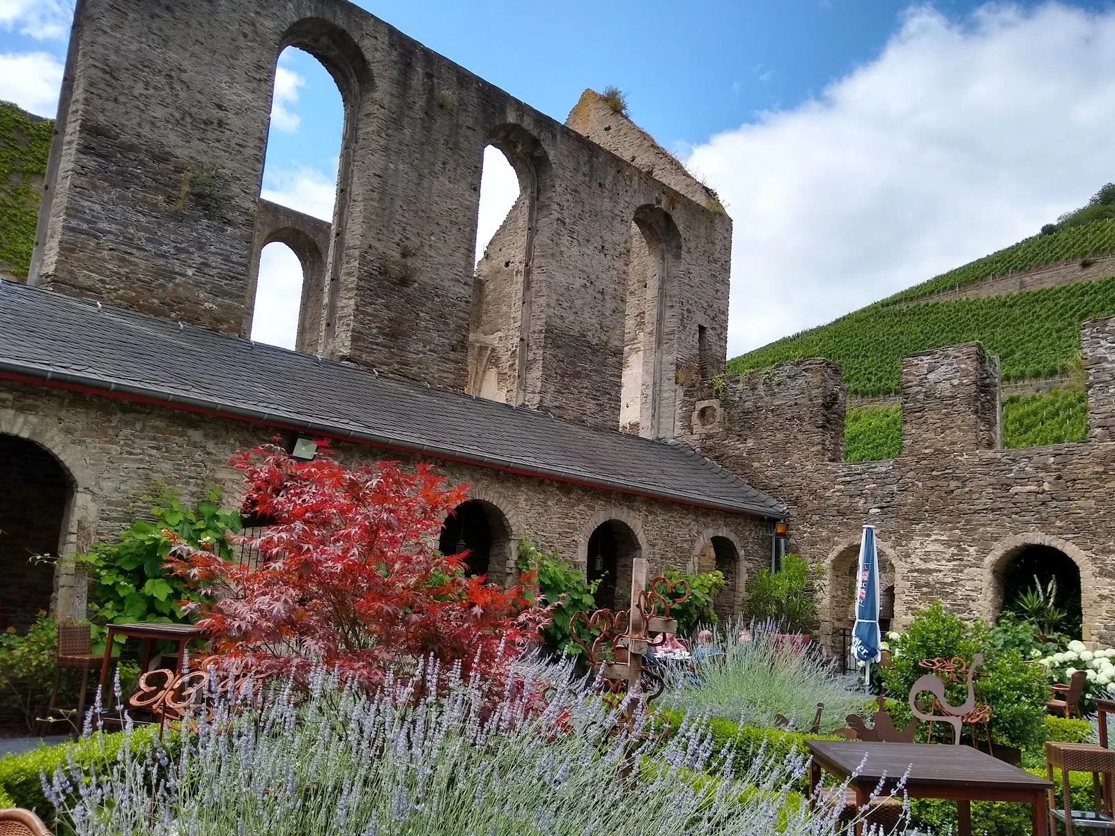 Вид на монастырь Мариенталь с окружающей природой