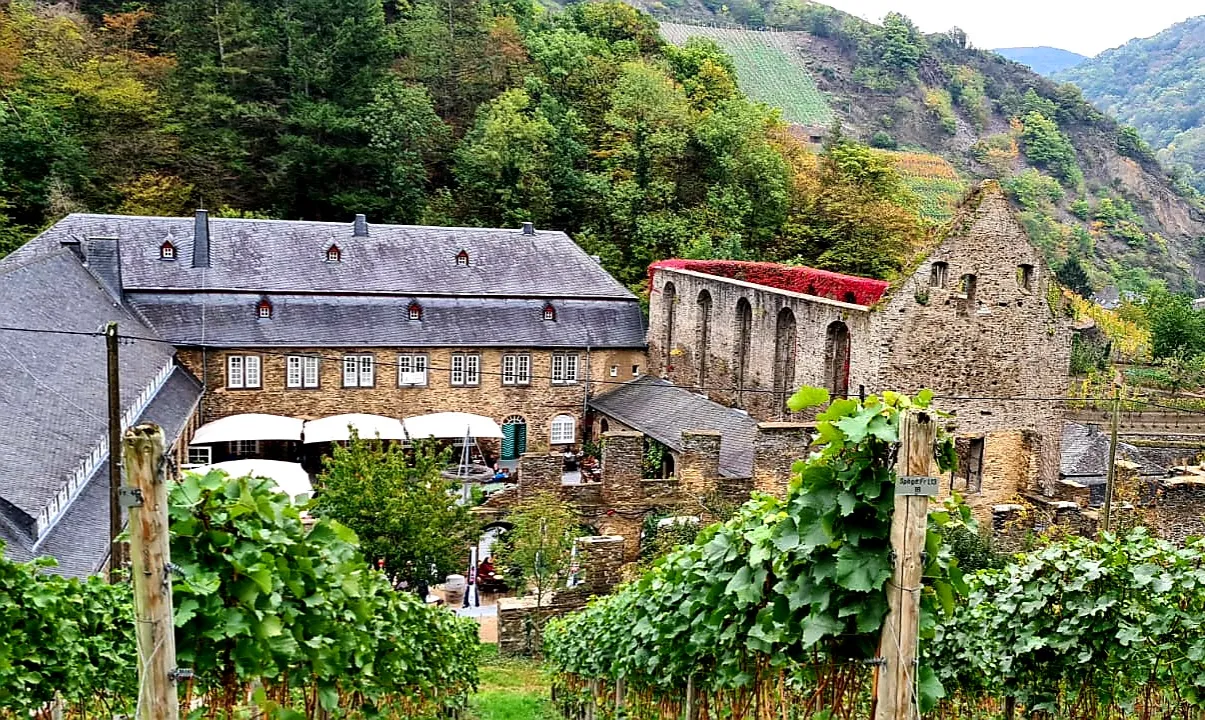 Вид на монастырь Мариенталь с окружающей природой