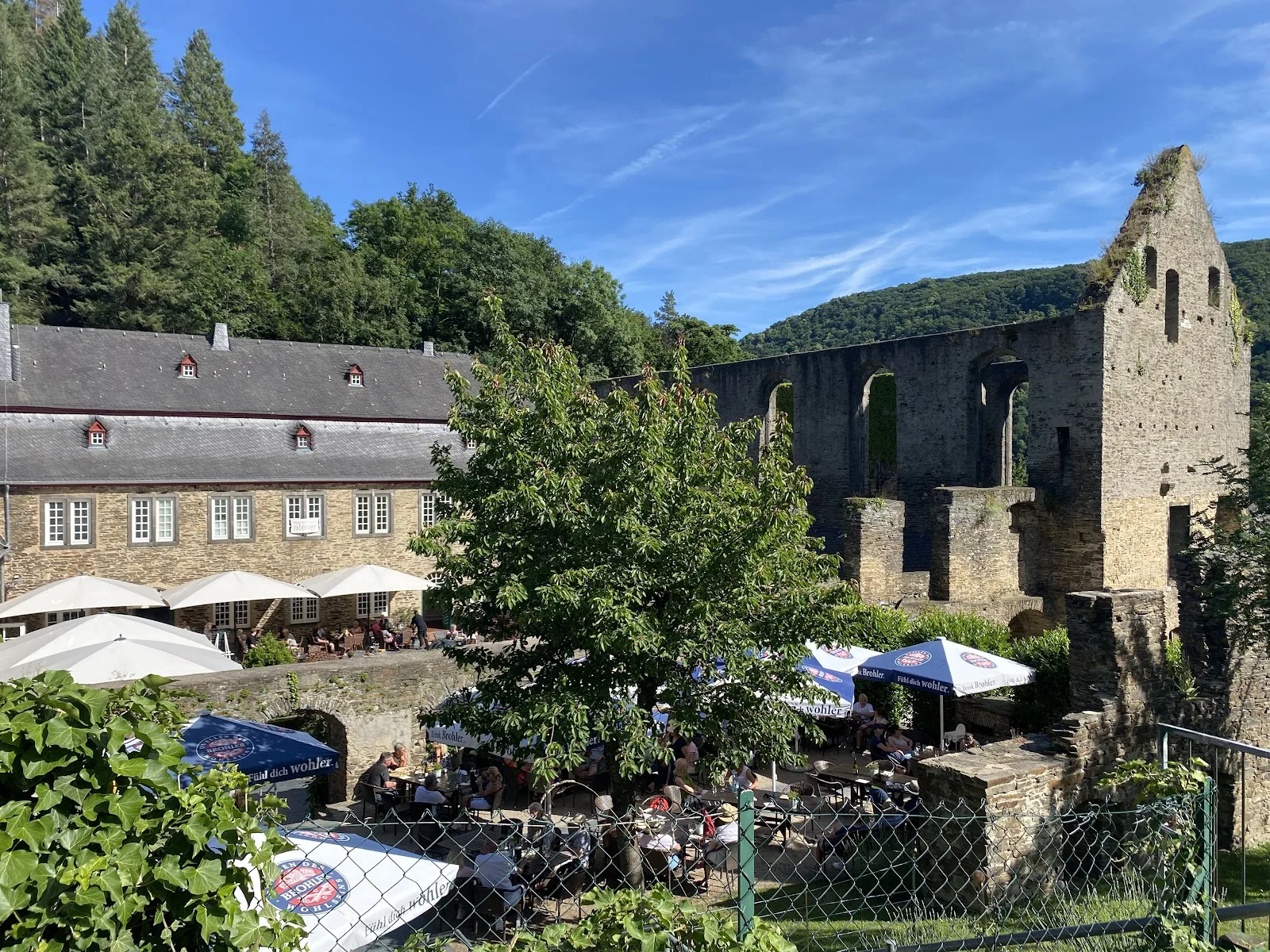 Вид на монастырь Мариенталь с окружающей природой