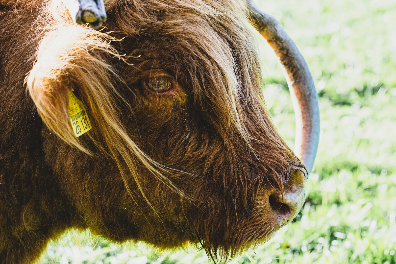 Вид на фасад Монастыря Нючау