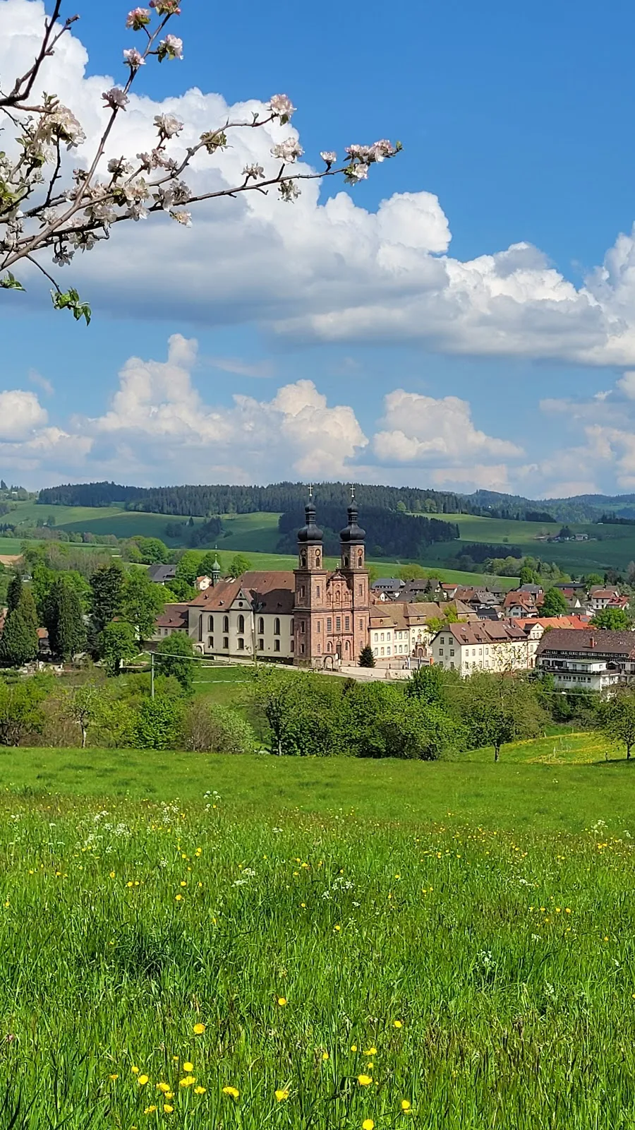 Монастырь Святого Петра в Шварцвальде