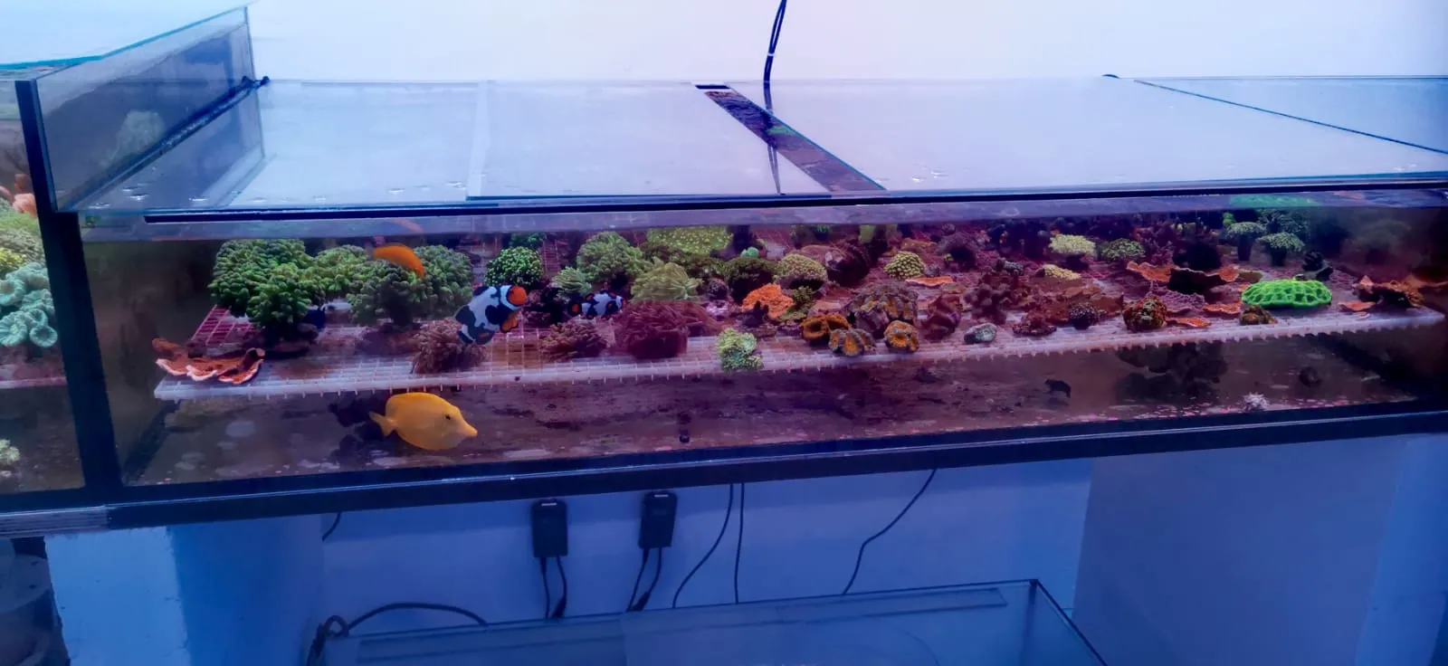 Морской рай