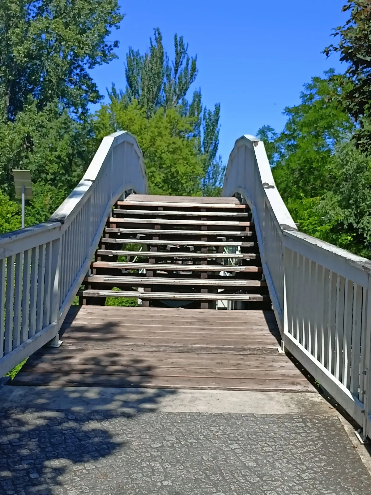 Мост Готфрида Крюгера (Мост от боли в животе)