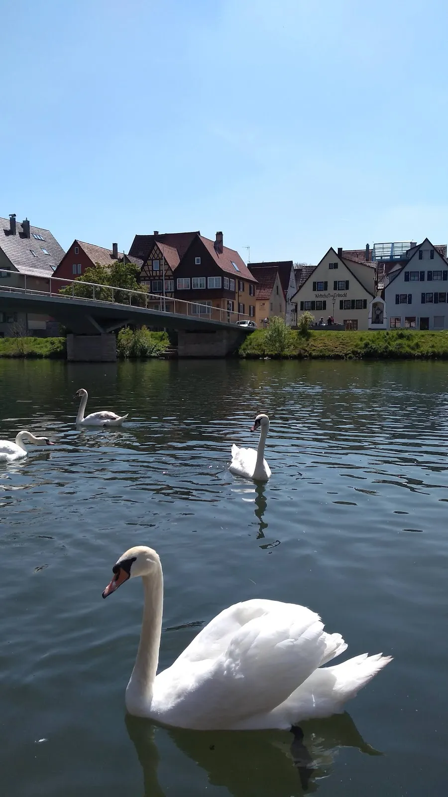 Вид на Мост Йозефа Эберле через реку Неккар в Роттенбург-ам-Неккар