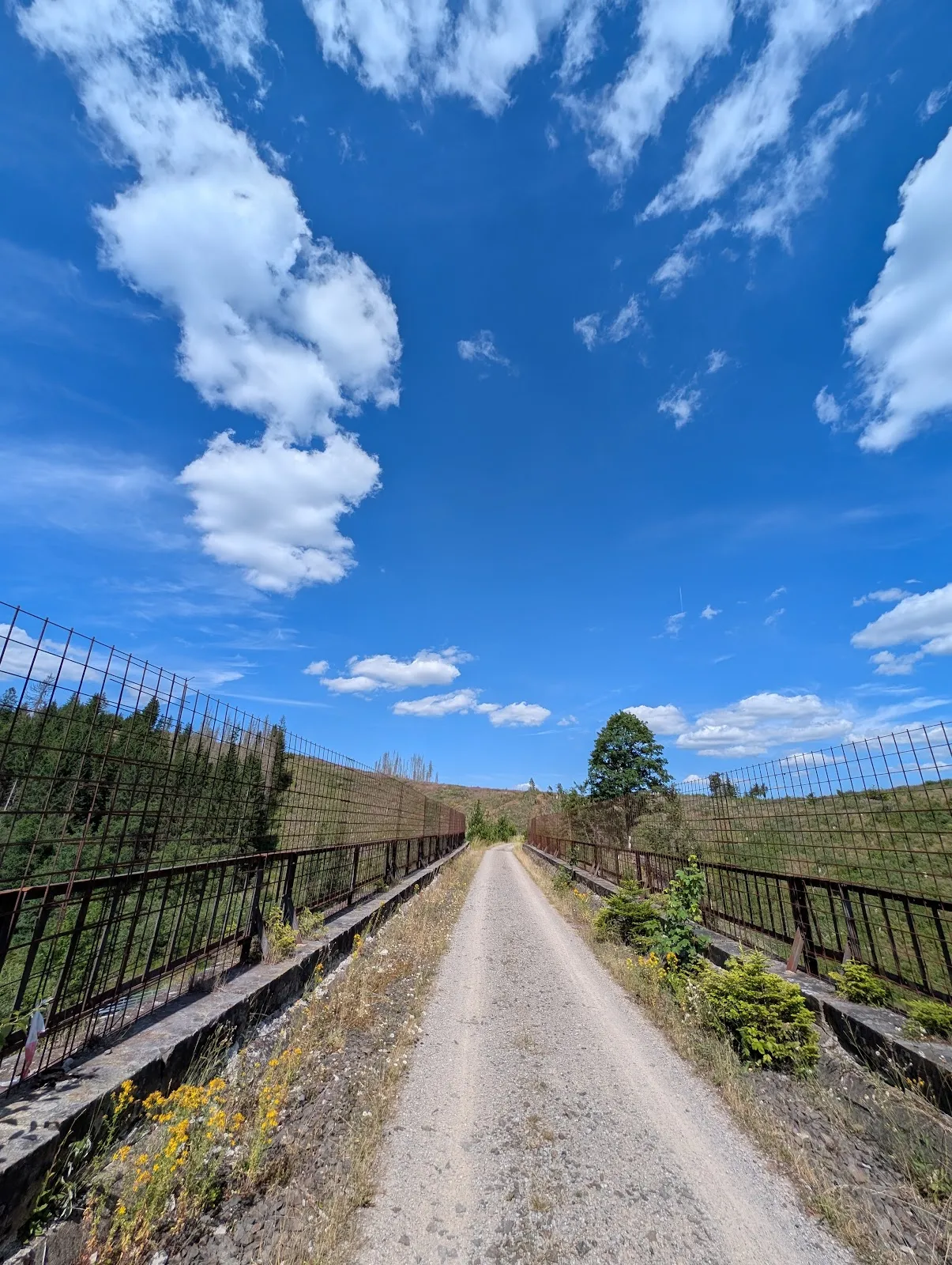 Исторический мост в Клаусталь-Целлерфельде, Германия, символ индустриального прошлого.