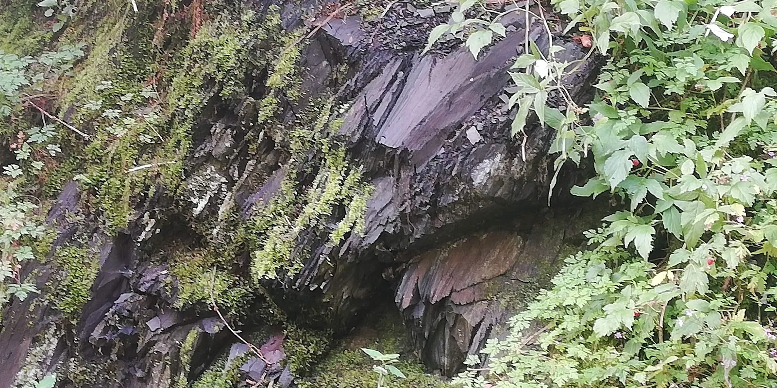 Исторический мост в Клаусталь-Целлерфельде, Германия, символ индустриального прошлого.