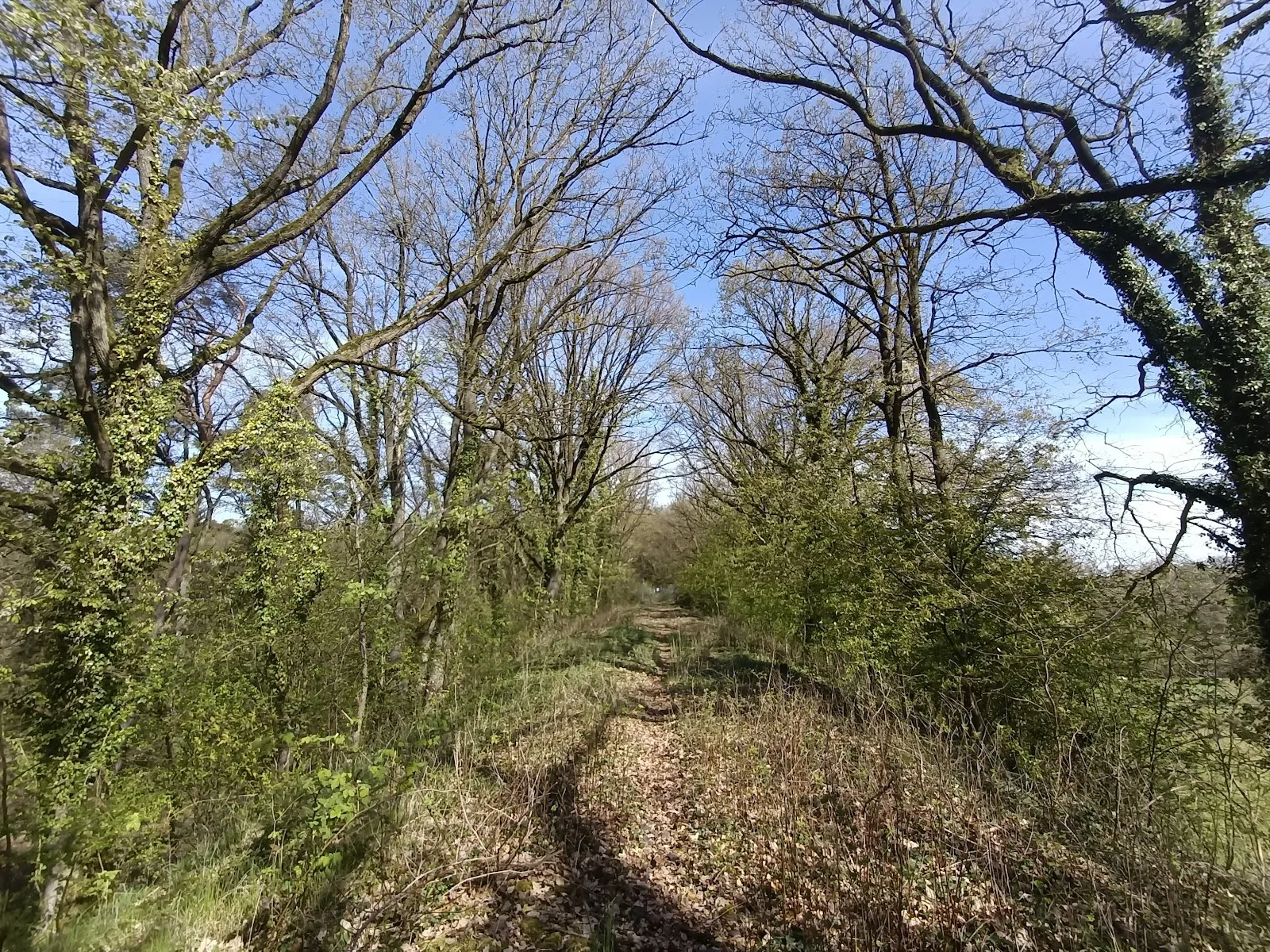 Мост над Штерсбеком, Германия