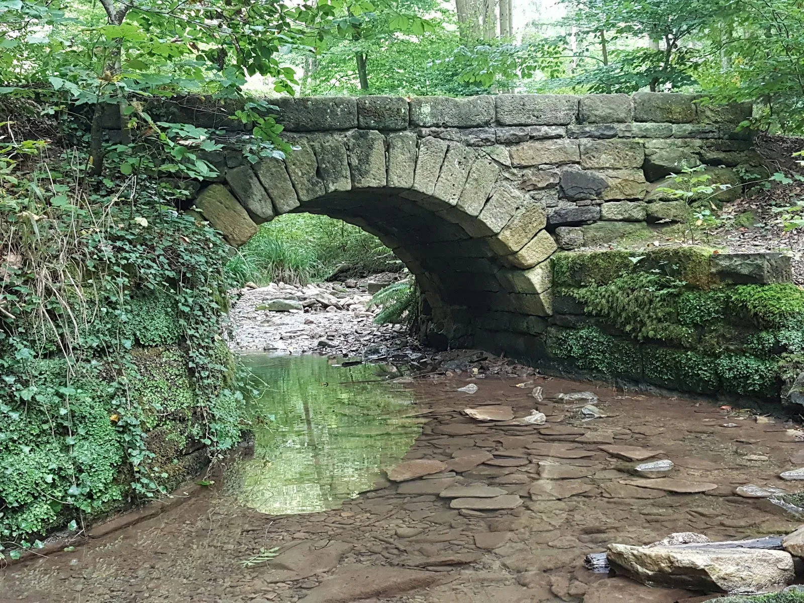 Мост Штейнбрюкке