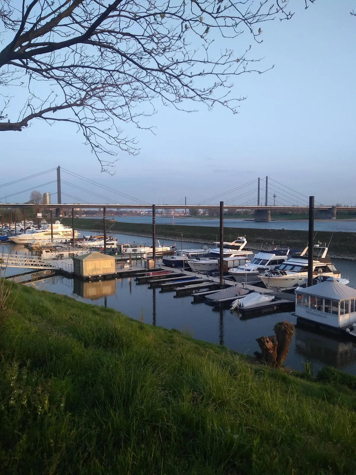 Вид на мост Теодора Хойса в Дюссельдорфе