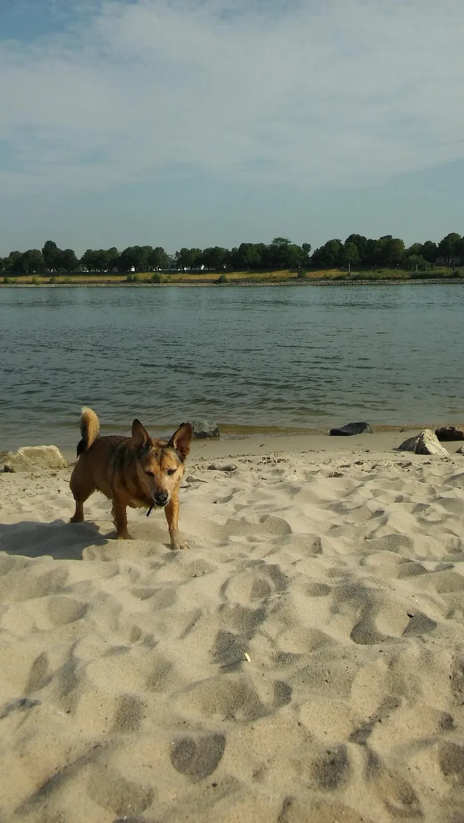 Вид на мост Теодора Хойса в Дюссельдорфе