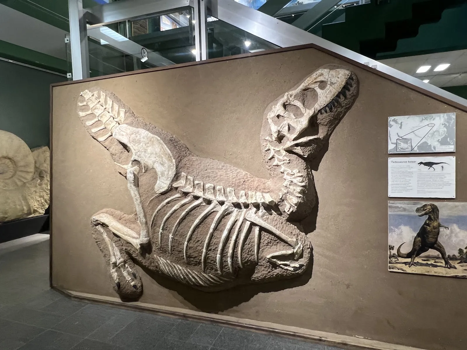 Музей Естествознания Гамбурга