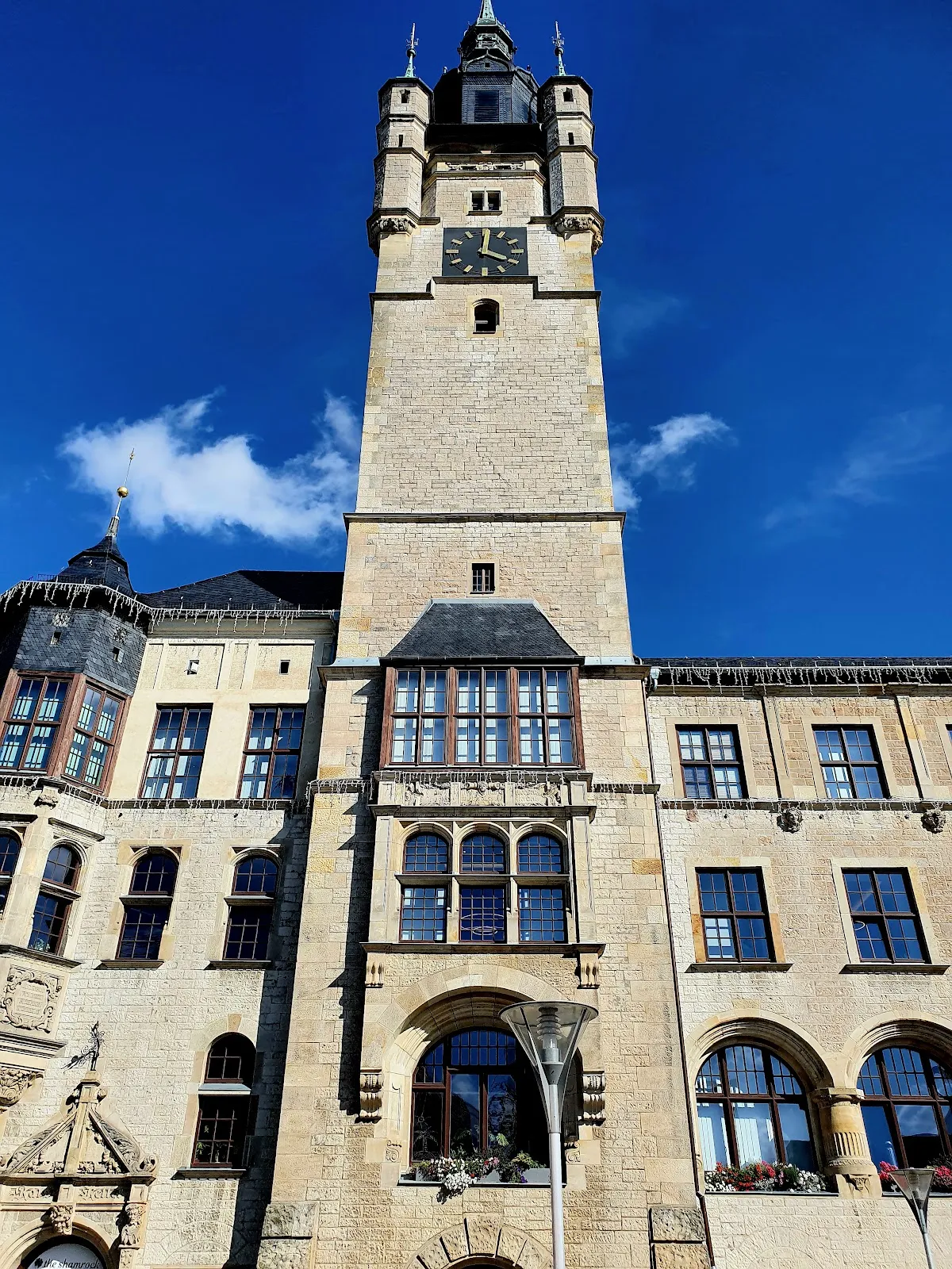 Экспонат в Музее истории города Дессау