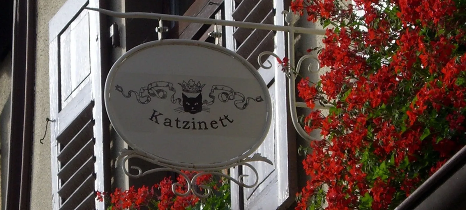 Музей кошек Людвигсхафена