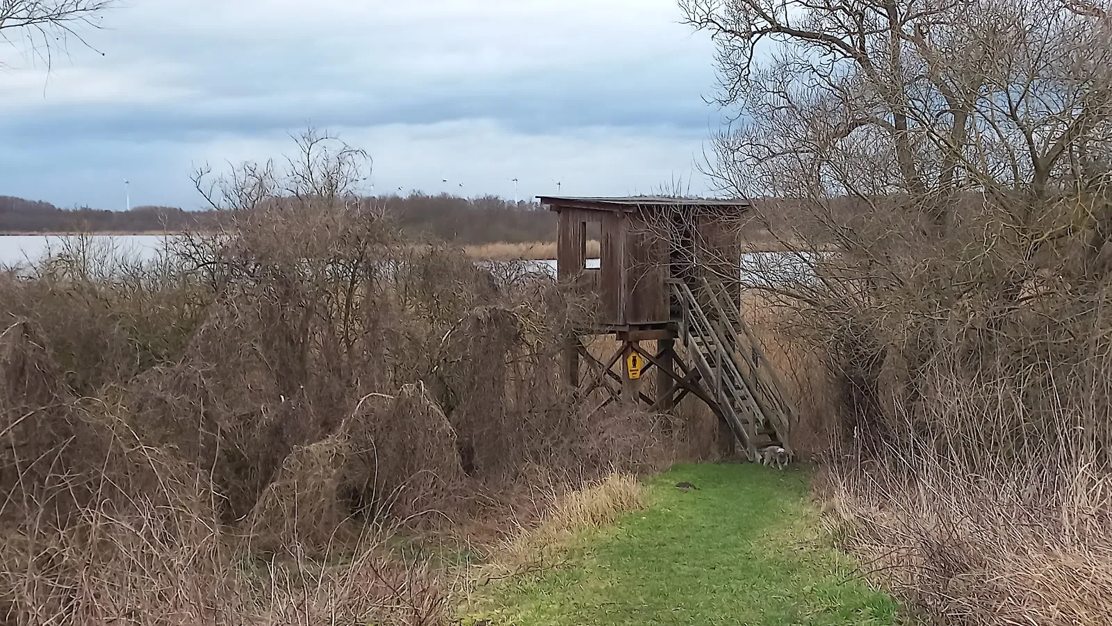 Вид на озеро Мёнхзе с зелёными берегами, символизирующий природу и отдых.