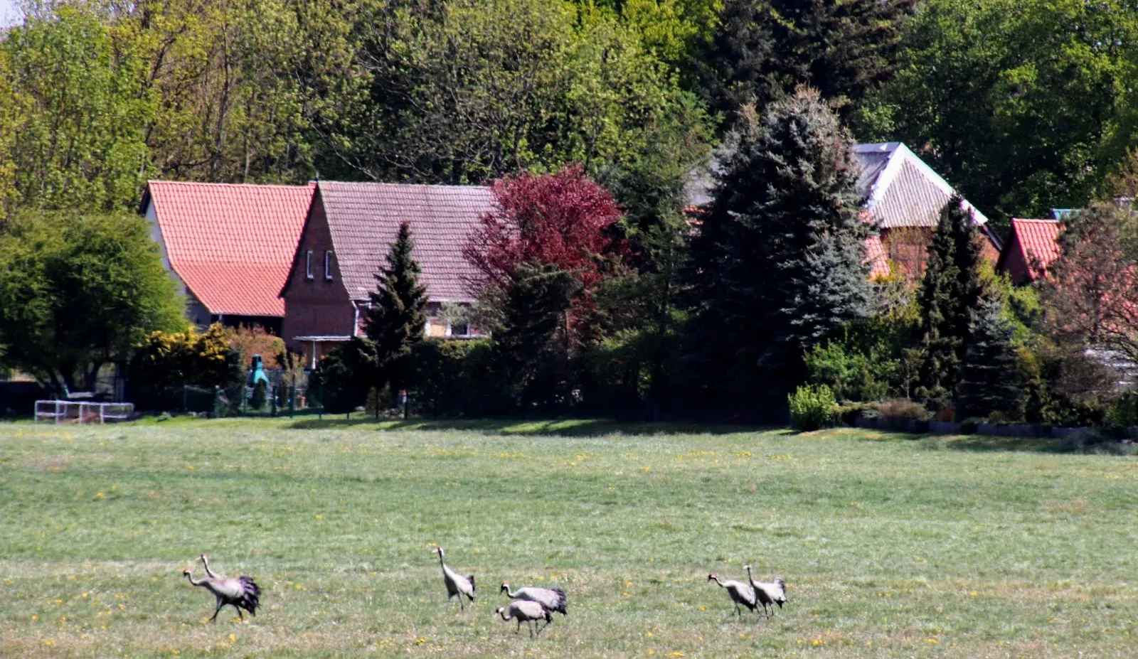 Вид на озеро Мёнхзе с зелёными берегами, символизирующий природу и отдых.