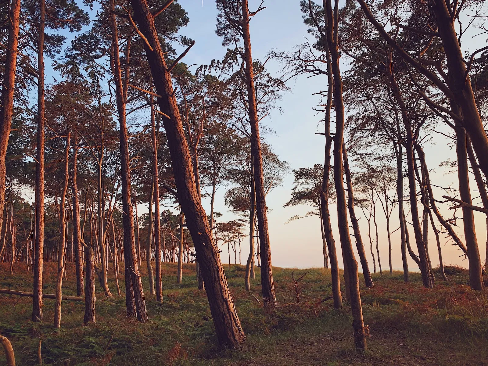 Национальный парк Форпоммерше Бодденландшафт