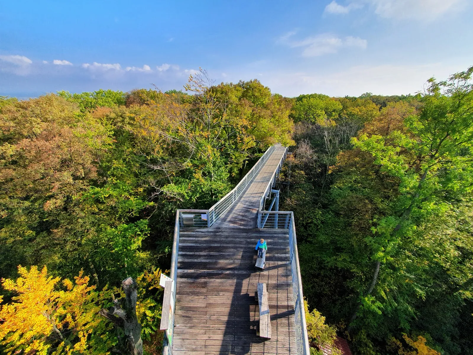 Национальный парк Хайних – древний буковый лес с тропинками.