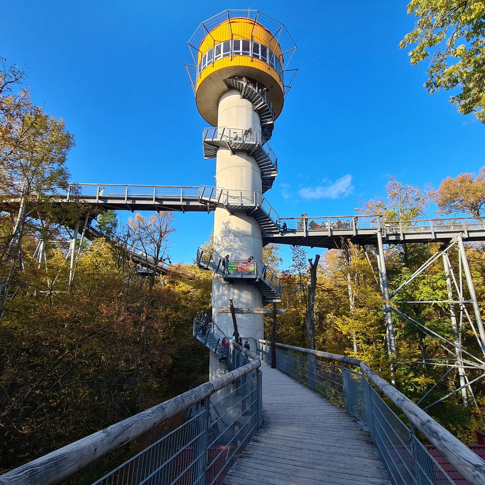Национальный парк Хайних – древний буковый лес с тропинками.