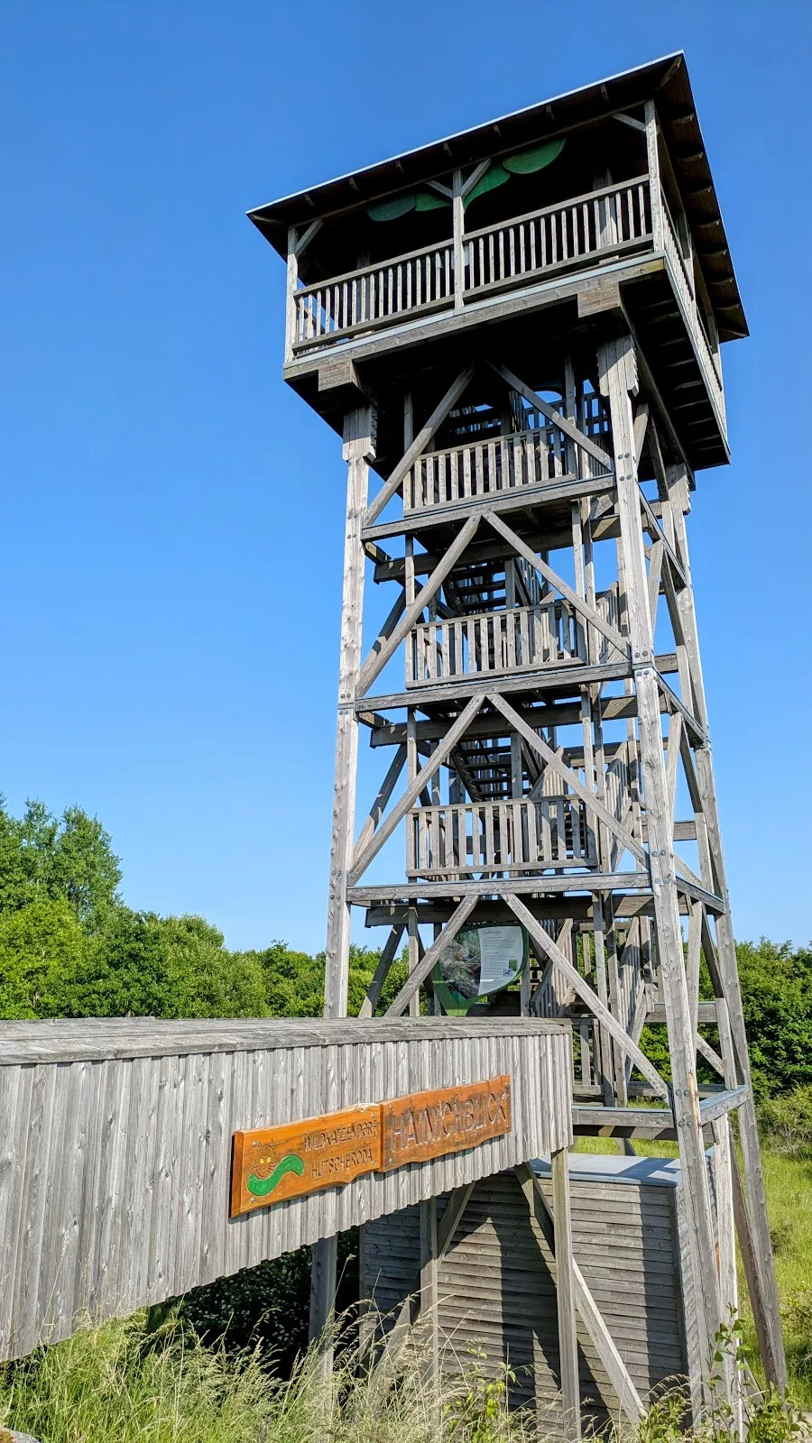 Национальный парк Хайних – древний буковый лес с тропинками.