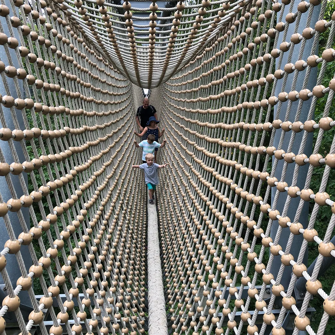 Национальный парк Хайних – древний буковый лес с тропинками.