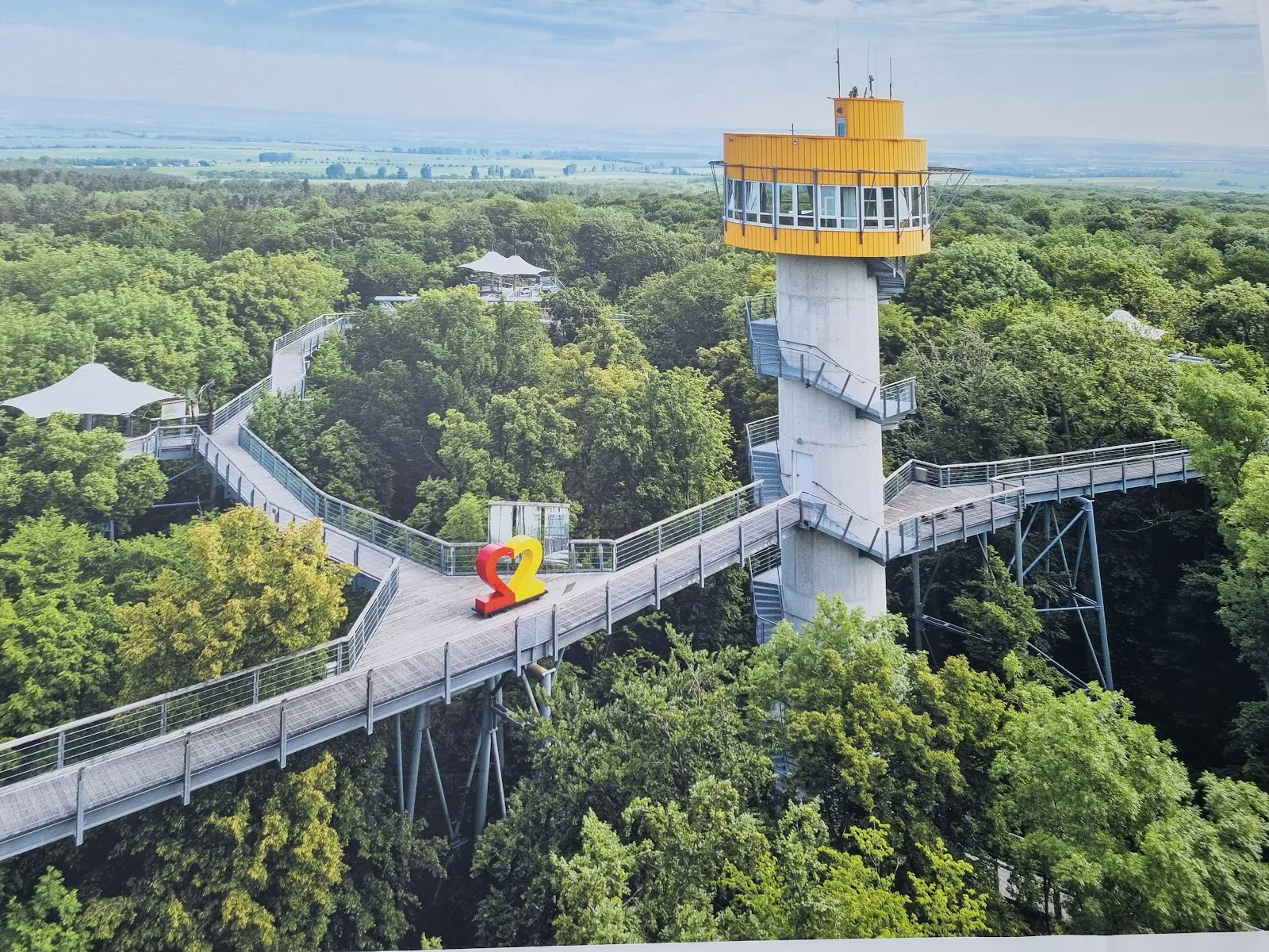 Национальный парк Хайних – древний буковый лес с тропинками.