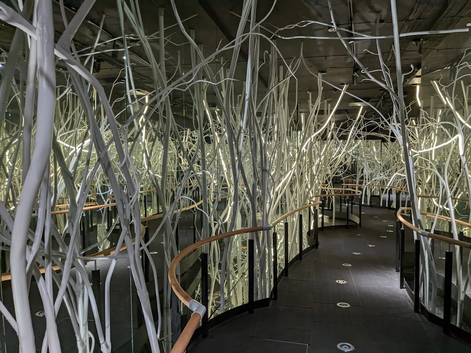 Национальный парк Шварцвальд