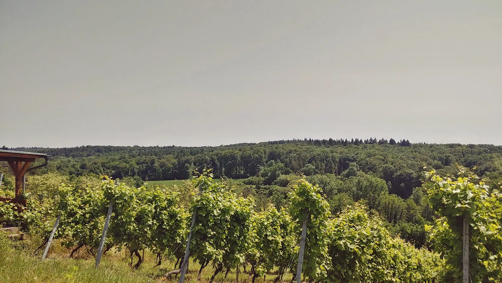 Здание Небесного Парка в Крайхталь, Германия, с телескопами и куполом планетария.