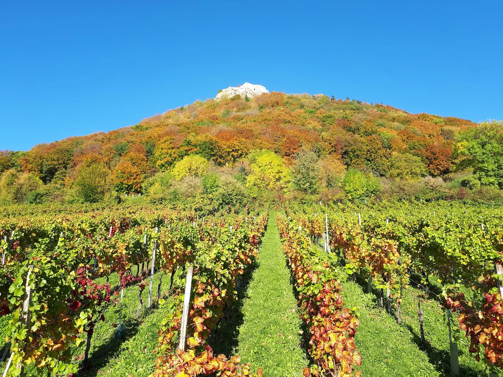 Ландшафт природного заповедника Нойффенер Хайде